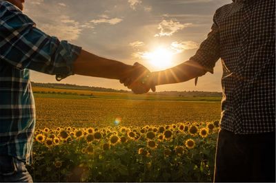 Zwei Männer geben sich vor einem Sonnenblumenfeld die Hand