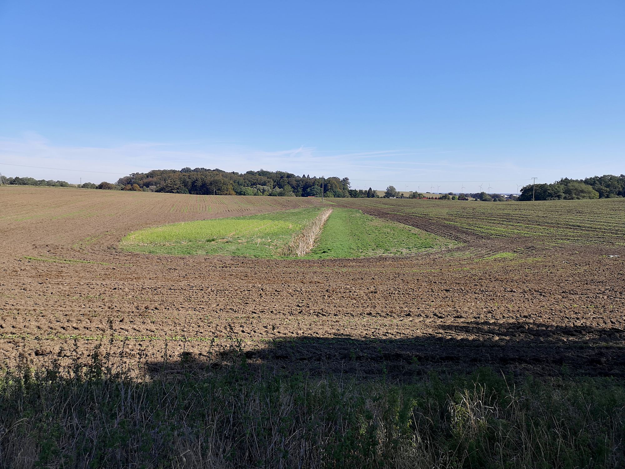 Ackerlandschaft mit künstlicher Entwässerung hier mit offenem, an Dränsammlerleitungen angeschlossenem Graben